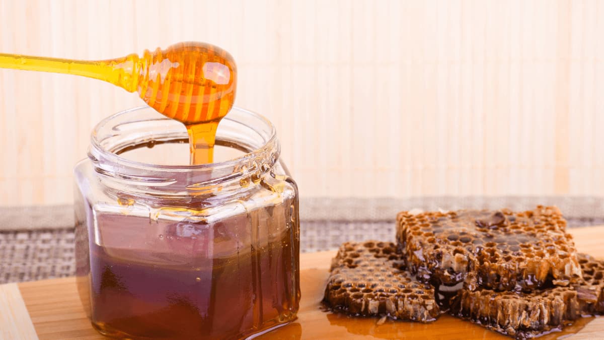 Miel de Abeja Pura — Montañas de Morazán
